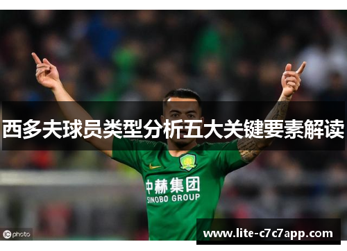 西多夫球员类型分析五大关键要素解读