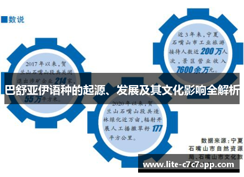 巴舒亚伊语种的起源、发展及其文化影响全解析