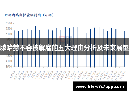 滕哈赫不会被解雇的五大理由分析及未来展望 滕哈赫不会被解雇的五大理由分析及未来展望