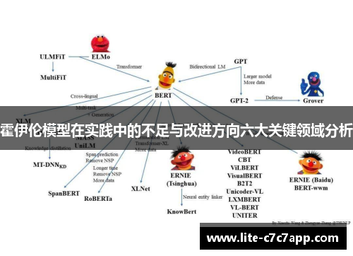 霍伊伦模型在实践中的不足与改进方向六大关键领域分析 霍伊伦模型在实践中的不足与改进方向六大关键领域分析