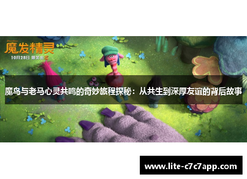 魔鸟与老马心灵共鸣的奇妙旅程探秘：从共生到深厚友谊的背后故事