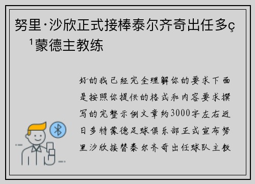 努里·沙欣正式接棒泰尔齐奇出任多特蒙德主教练