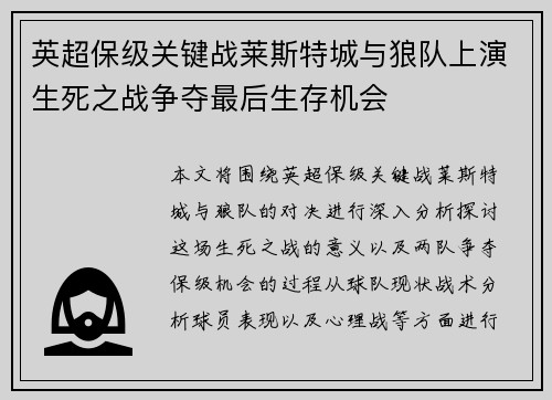 英超保级关键战莱斯特城与狼队上演生死之战争夺最后生存机会